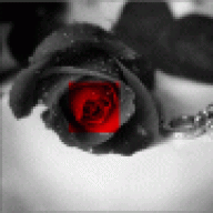 عازفة الخيال