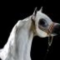 ابواحمدالنجاري